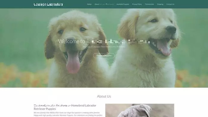 Puppy scam website example. Name has been blurred.