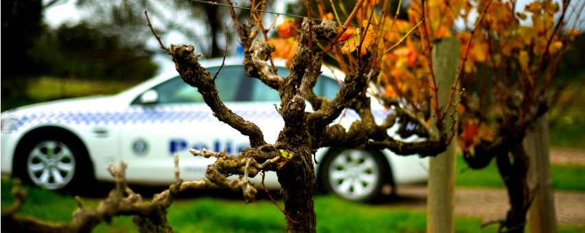 Barossa LSA image