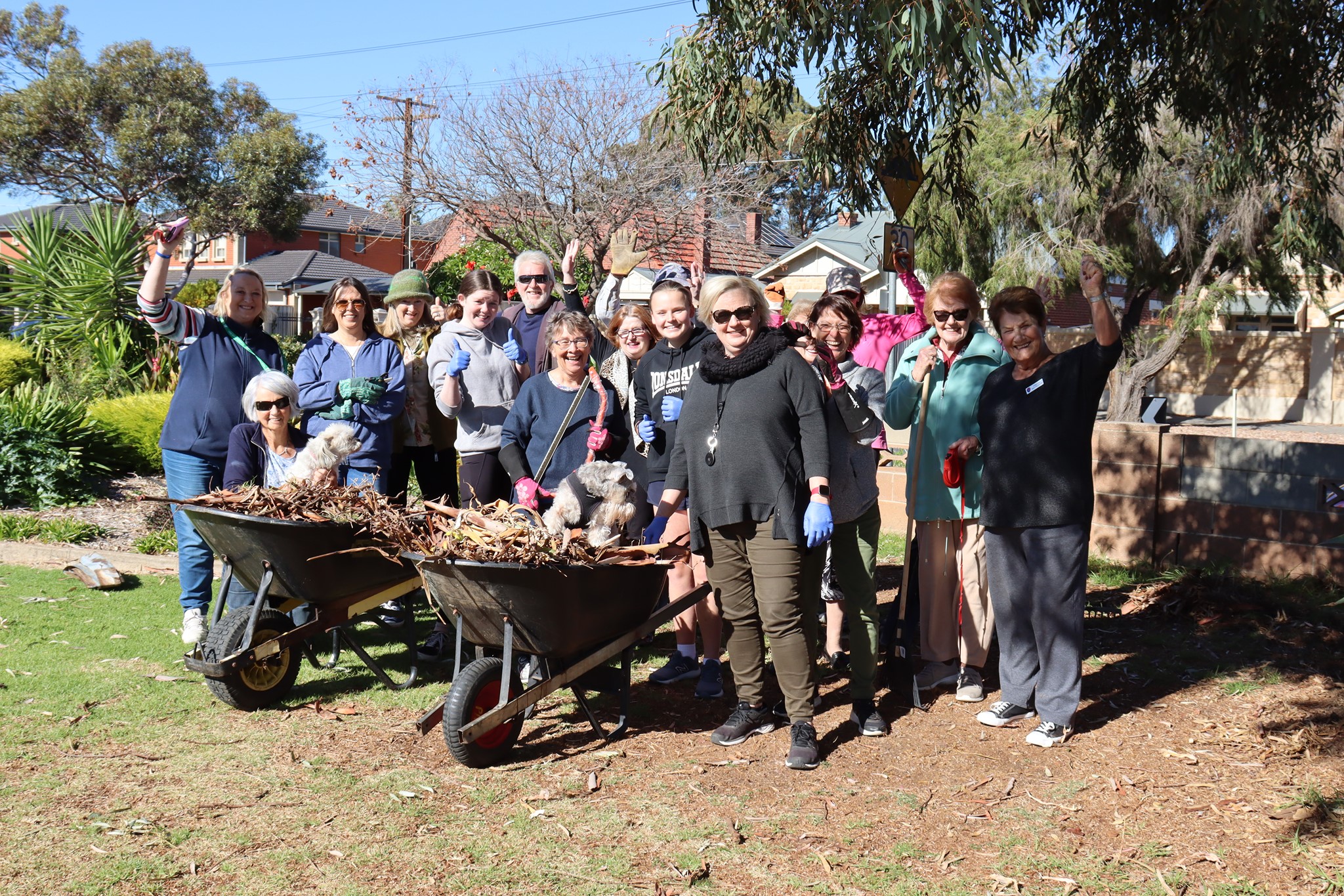 Broadview and Collinswood hosted a community pruning day to celebrate World Environment Day in May 2021.