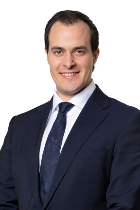 Headshot of Hon Vincent Tarzia MP