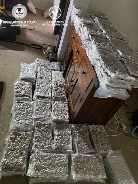 drug seizure tennyson