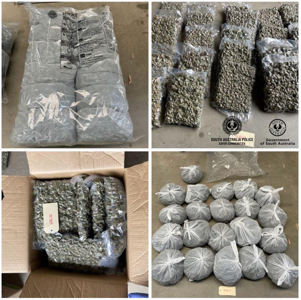 seized cannabis