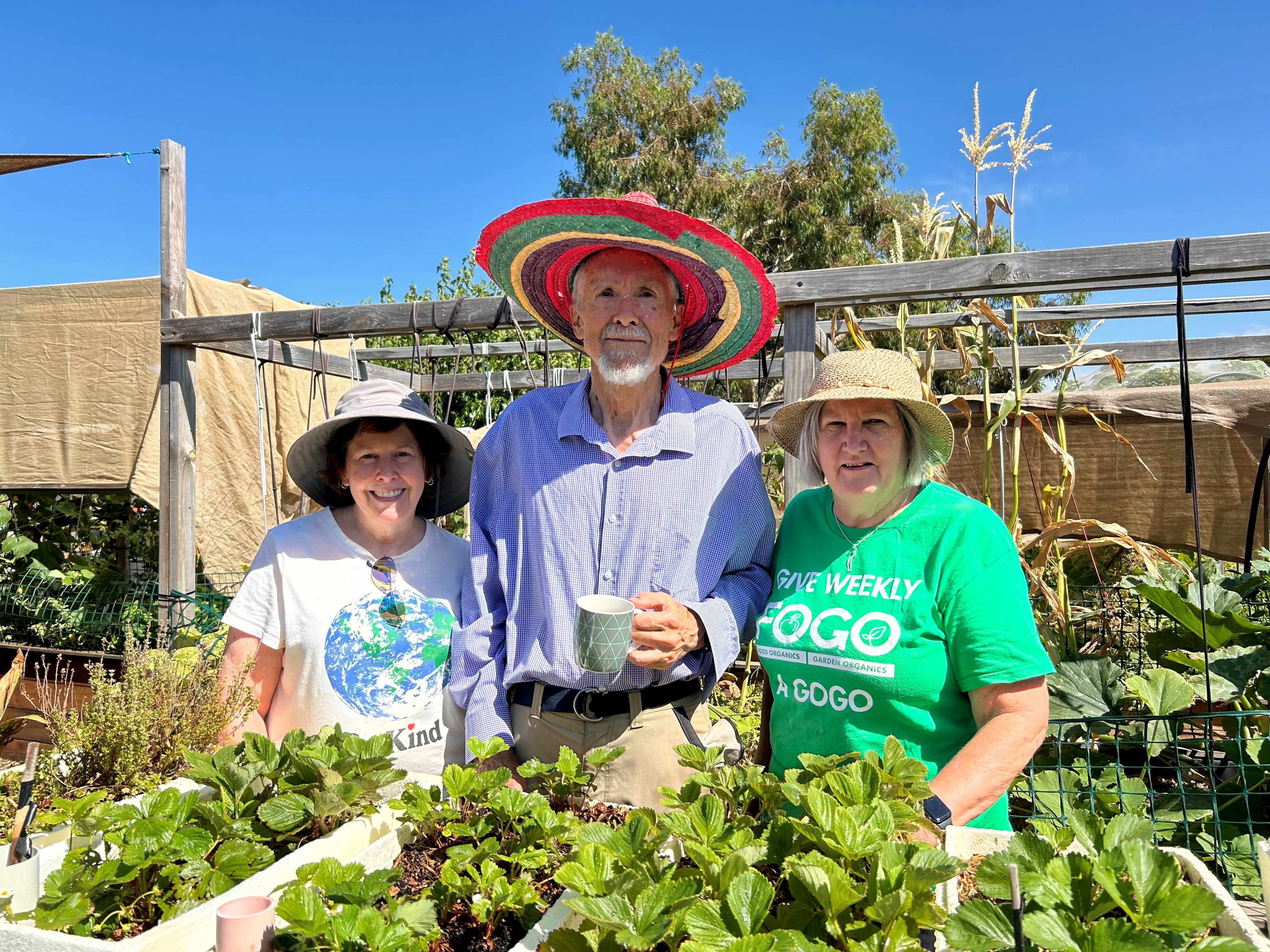 Glenelg North Community Garden