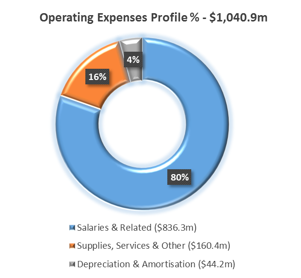 pie chart operating expenses. salaries and related 80% ($836.3 million). Supplies, services and other 16% ($160.4 million). Depreciation and amortisation 4% ($44.2 million)
