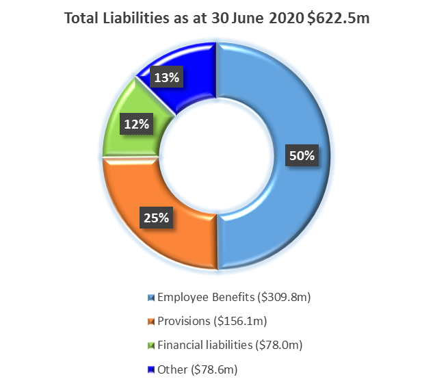 Pie chart SAPOL liabilities. Employee benefits 50% ($309.8 million). Provisions 25% ($156.1 million). Other 13% ($78.6 million). Financial liabilities 12% ($78.0 million).